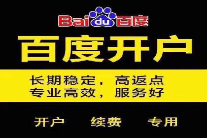 竞价广告的投放策略与效果评估——以一成功企业为例